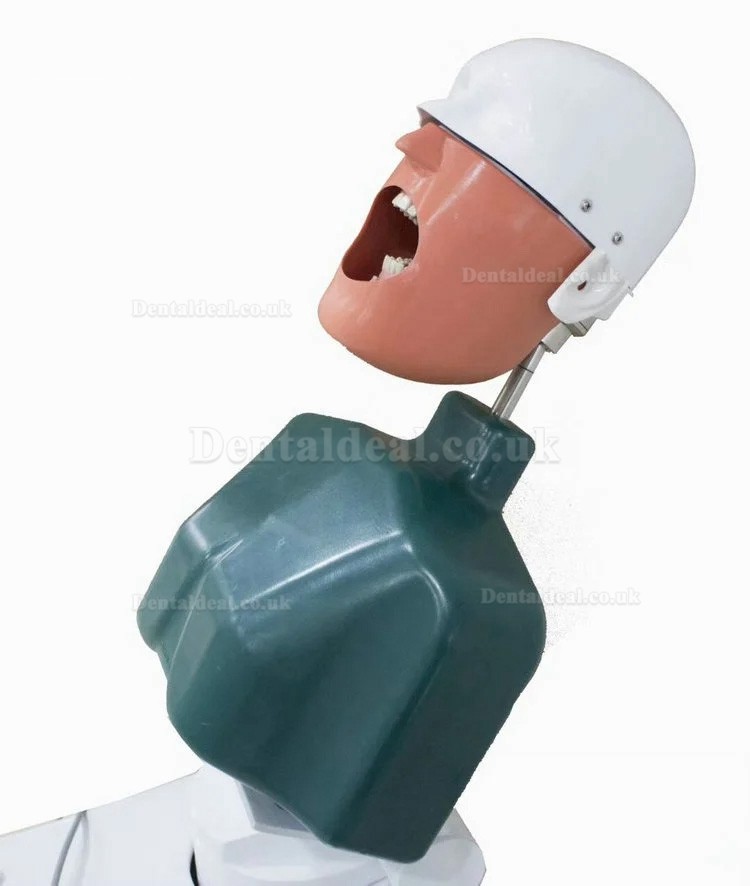 Jingle JG-A1 Phantom Head For Dental Students Dental Patient Simulation Unit